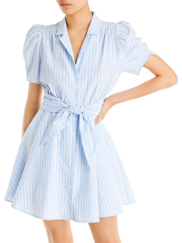 Womens Poplin Striped Shirtdress